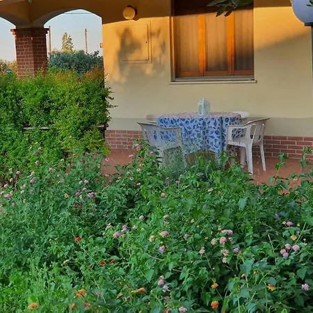 Giardino Degli Ulivi