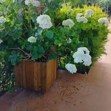 Giardino Degli Ulivi * Ortona