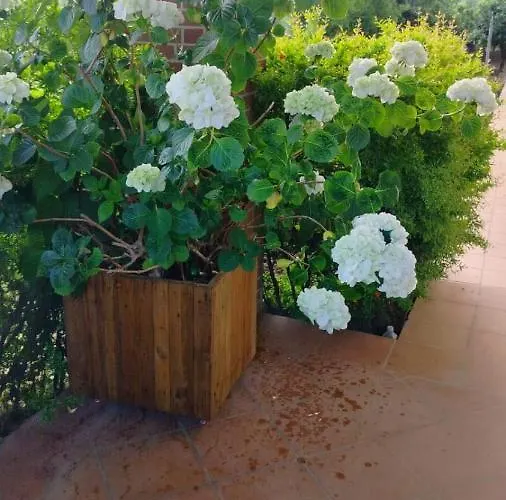 Giardino Degli Ulivi * Ortona